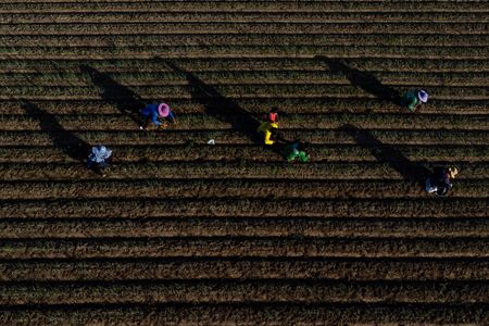 tagreuters.com2023binary_LYNXMPEJ5603H-VIEWIMAGE