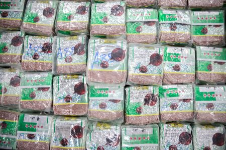 tagreuters.com2023binary_LYNXMPEJ5109W-VIEWIMAGE