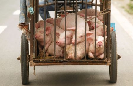 tagreuters.com2023binary_LYNXMPEJ5605R-VIEWIMAGE