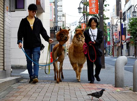 tagreuters.com2023binary_LYNXMPEJ5L04Z-VIEWIMAGE