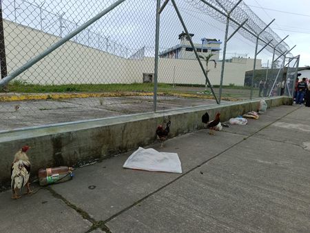 tagreuters.com2023binary_LYNXMPEJ5F0VS-VIEWIMAGE