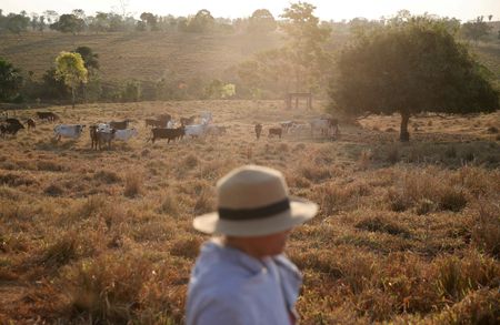 tagreuters.com2023binary_LYNXMPEJ5K0VP-VIEWIMAGE