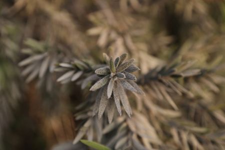 tagreuters.com2023binary_LYNXMPEJ0O013-VIEWIMAGE