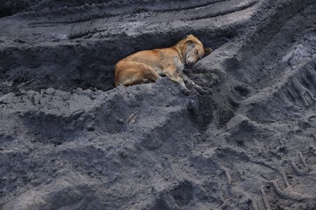 tagreuters.com2023binary_LYNXMPEJ0O014-VIEWIMAGE