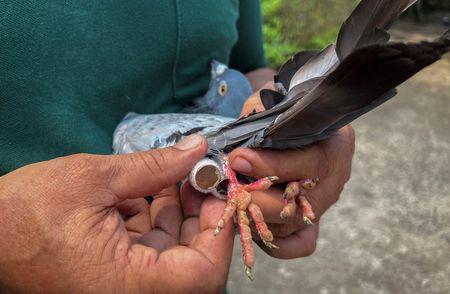 tagreuters.com2023binary_LYNXMPEJ5J00X-VIEWIMAGE