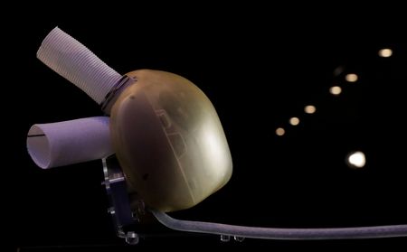 tagreuters.com2023binary_LYNXMPEJ0M0P9-VIEWIMAGE