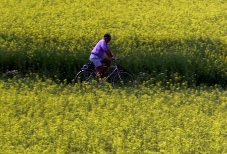 tagreuters.com2023binary_LYNXMPEJ0O0QM-VIEWIMAGE