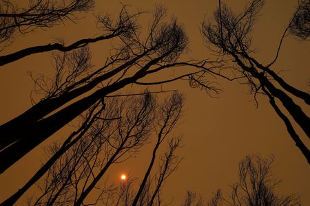 tagreuters.com2023binary_LYNXMPEJ13097-VIEWIMAGE