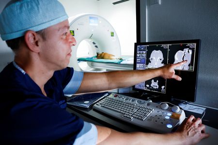 tagreuters.com2023binary_LYNXMPEJ5L0FE-VIEWIMAGE