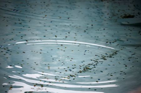 tagreuters.com2024binary_LYNXMPEKBL06I-VIEWIMAGE