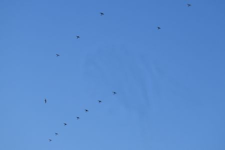 tagreuters.com2025binary_LYNXMPEL6M0LC-VIEWIMAGE