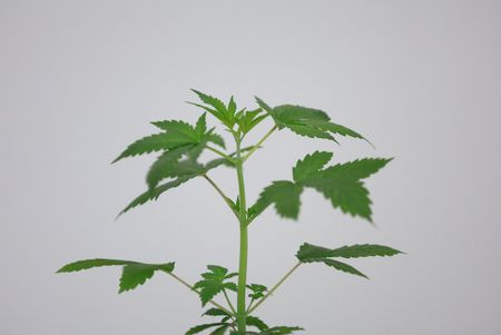 tagreuters.com2023binary_LYNXMPEJ0P005-VIEWIMAGE